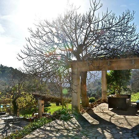 Sa Vall Valldemossa Εξωτερικό φωτογραφία