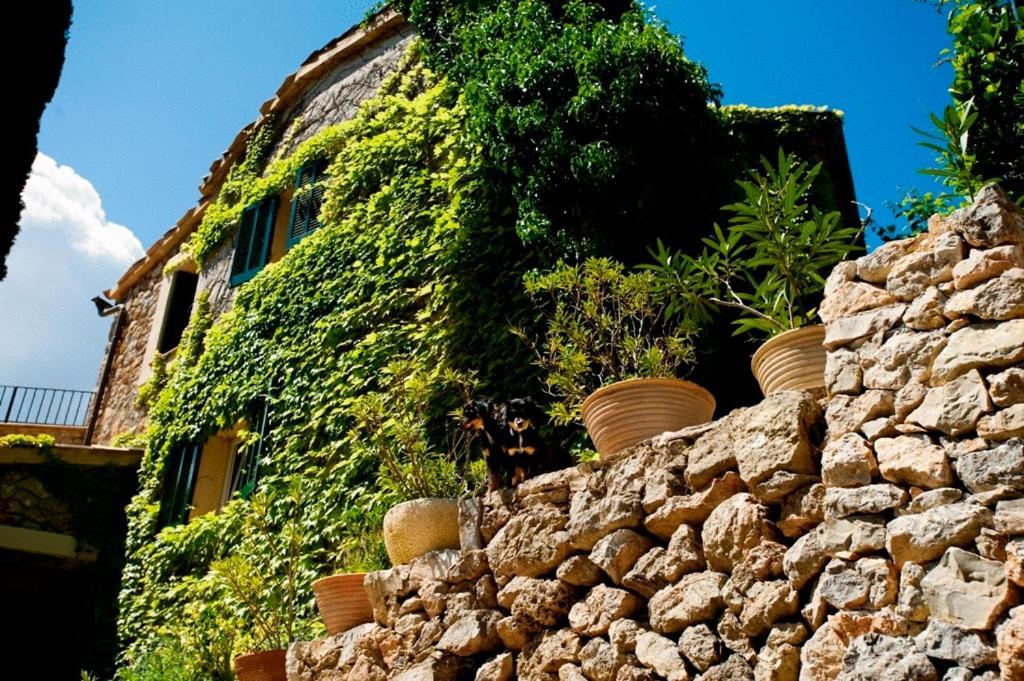 Sa Vall Valldemossa Εξωτερικό φωτογραφία