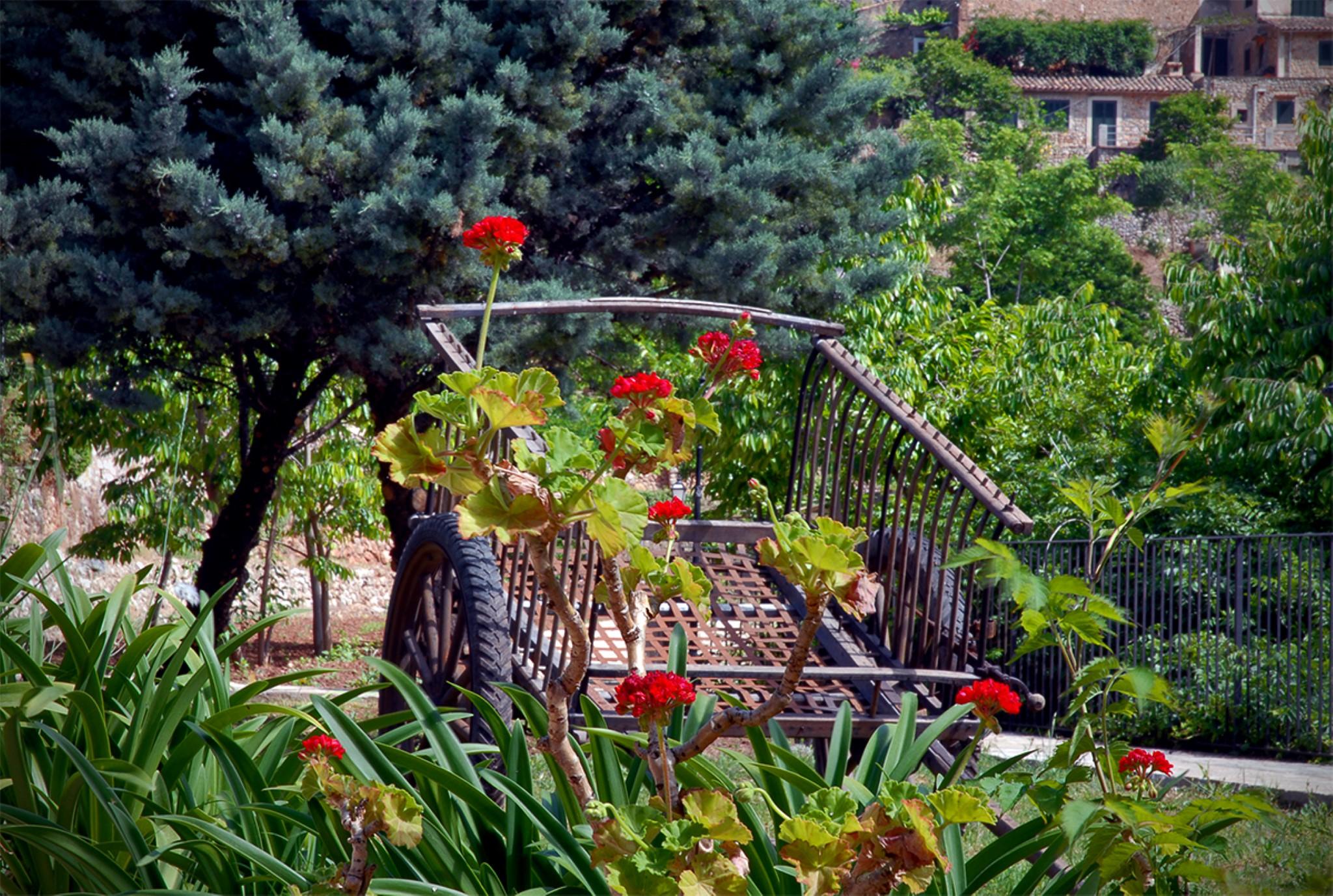 Sa Vall Valldemossa Εξωτερικό φωτογραφία