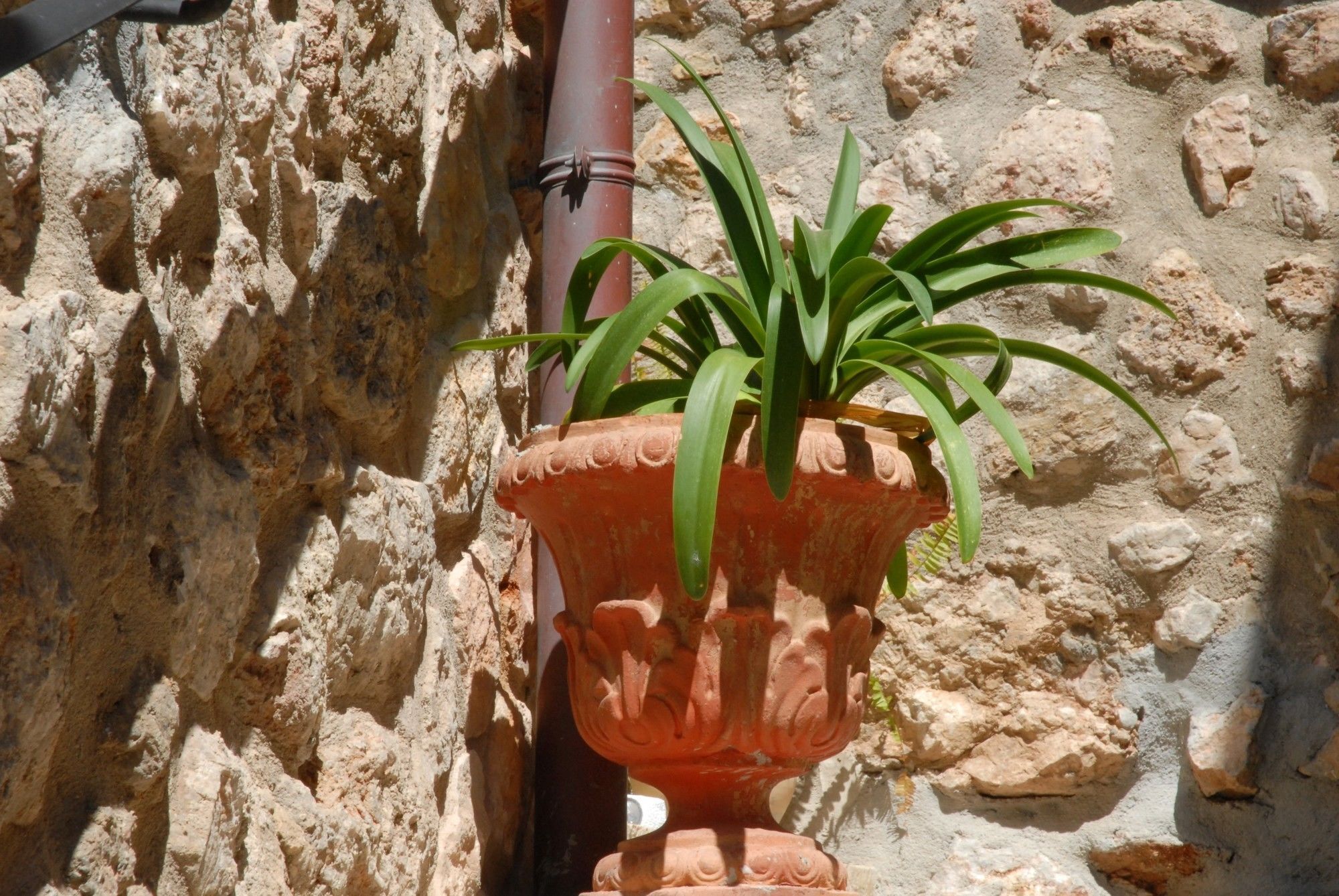 Sa Vall Valldemossa Εξωτερικό φωτογραφία
