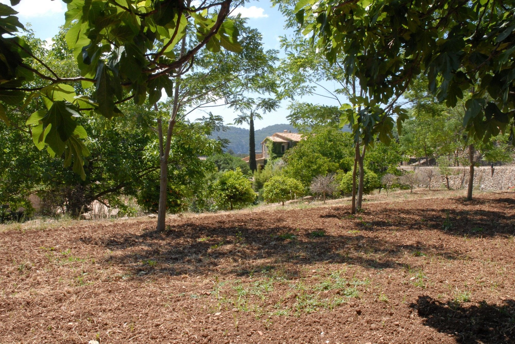 Sa Vall Valldemossa Εξωτερικό φωτογραφία